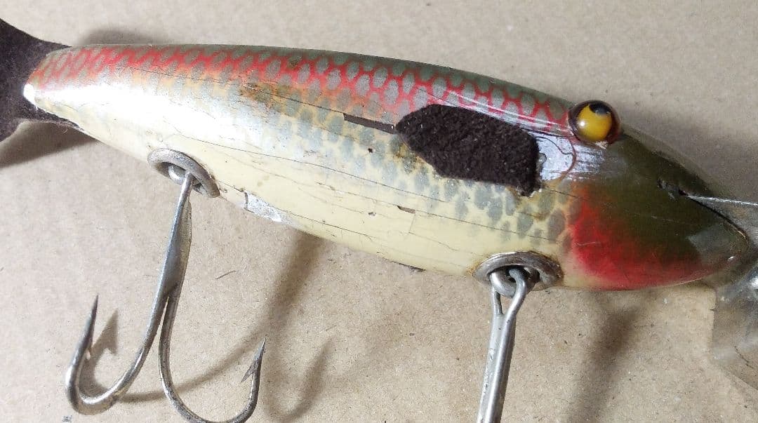 Fintail Shiner CREEKCHUB 1920年代