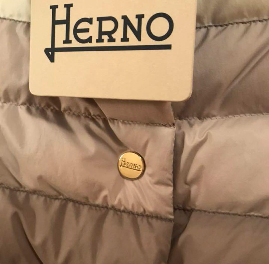 美品⭐︎HERNO リバーシブル半袖ダウン　グラデーションカラー　42
