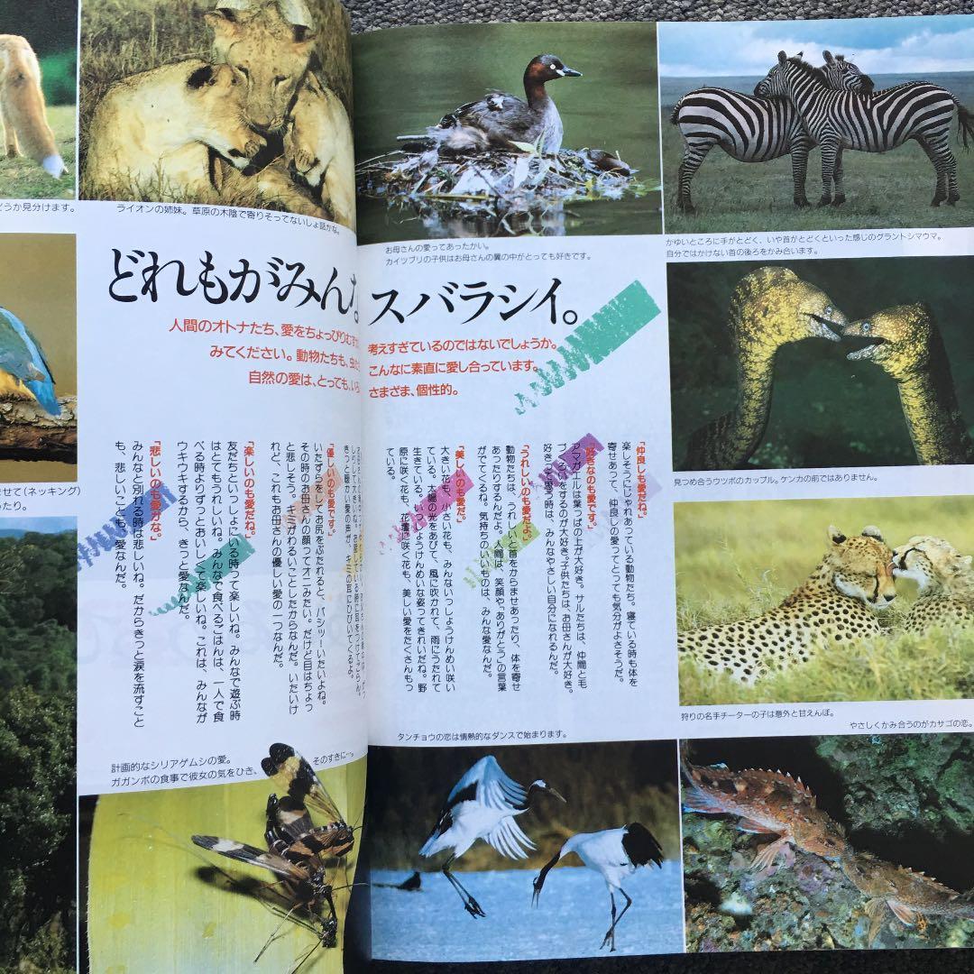 講談社現代百科大事典1〜10