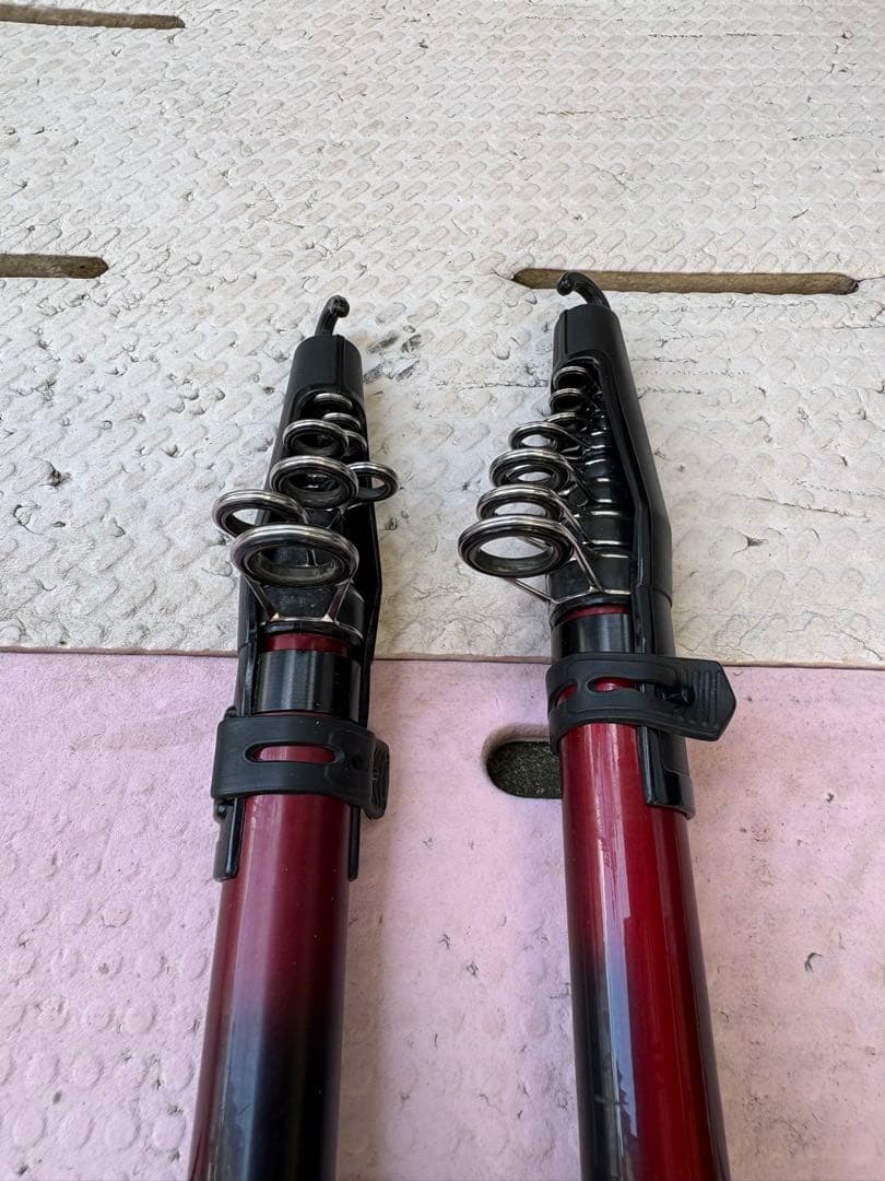 鯉釣り　飛鯉　Daiwa 2本セット