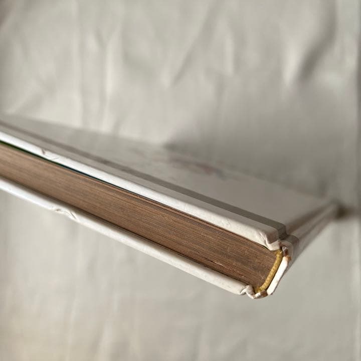 カロリーヌのぼうけん