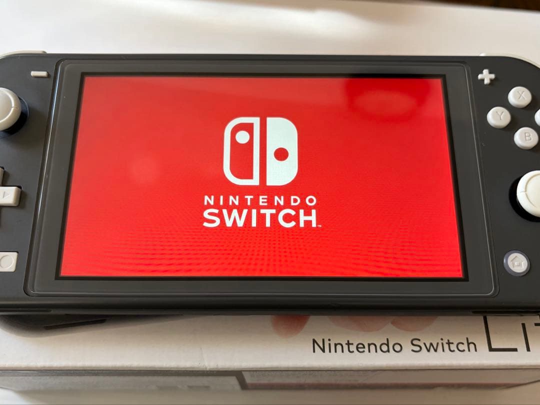 Nintendo Switch Lite グレー 本体　箱付き　状態良好