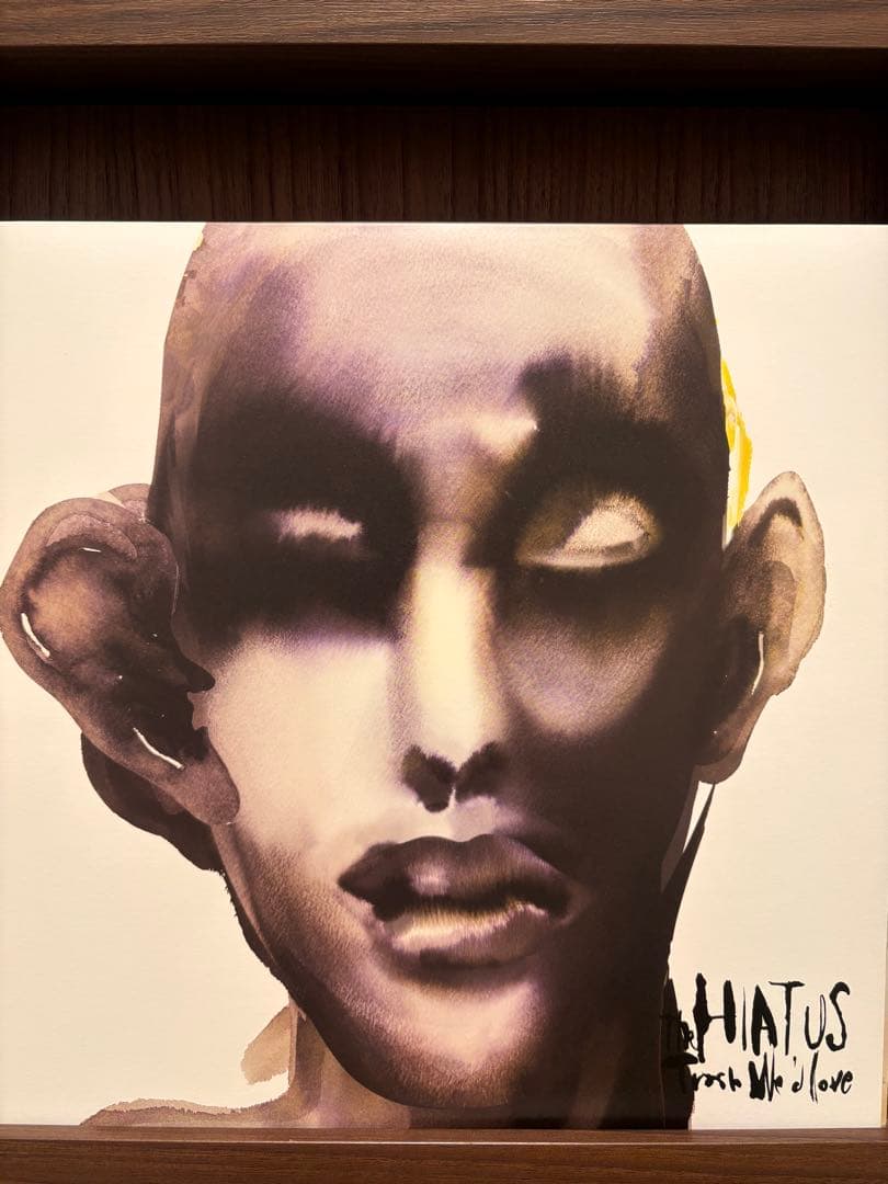 値下げ　the HIATUS Trash We'd Love 完全限定盤レコード