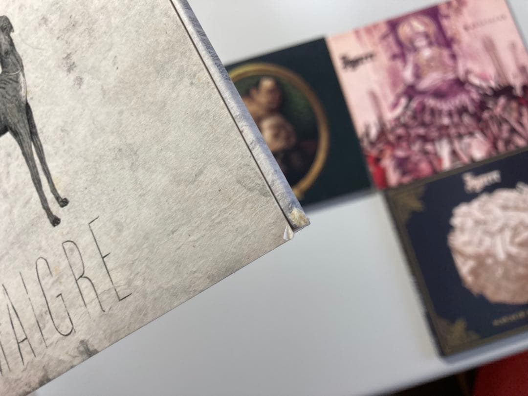 Igorrr CDまとめ売り