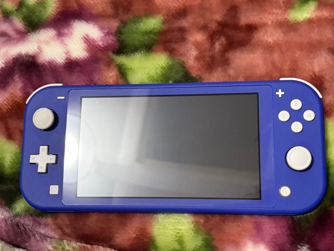 【動作確認済】Nintendo Switch Lite