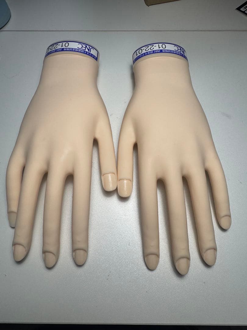 JNEC認定モデルハンド (骨折なし 箱付き)