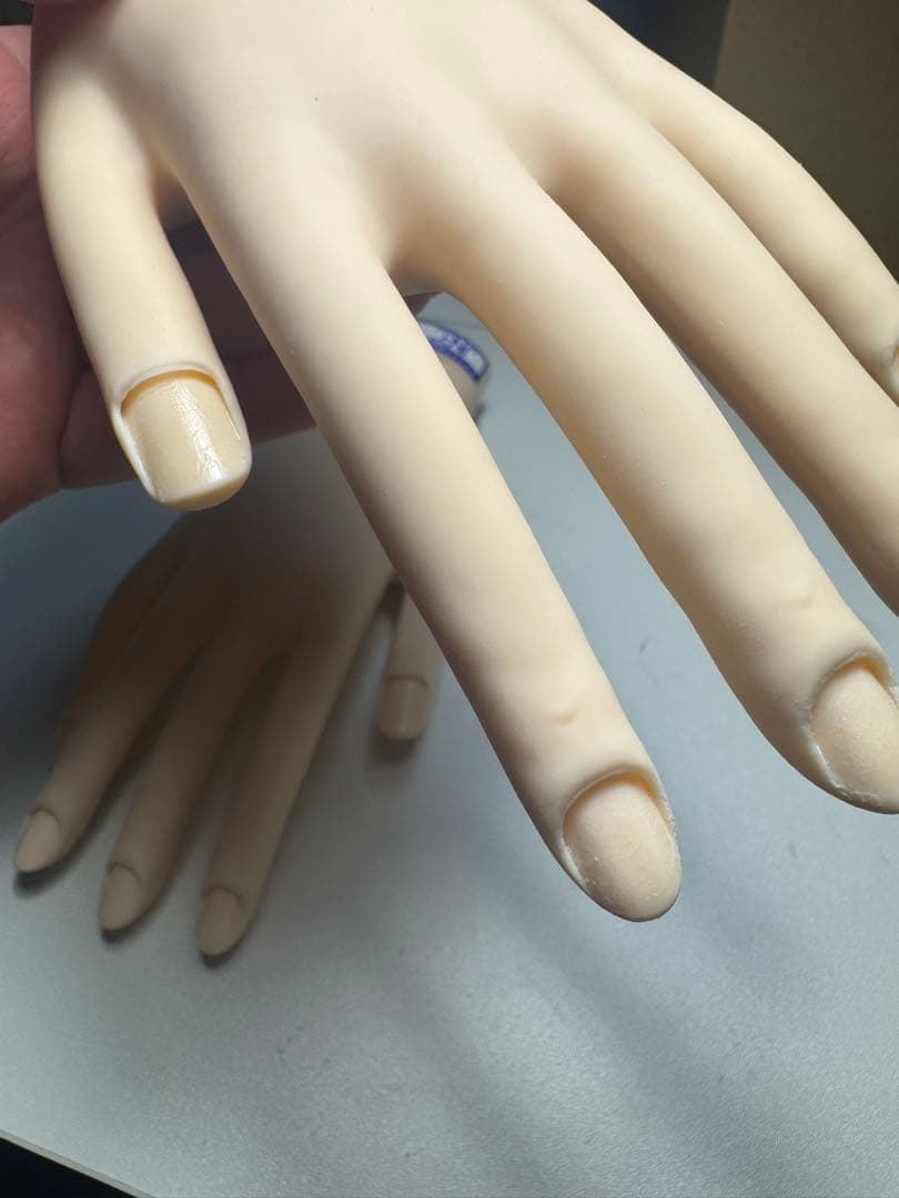 JNEC認定モデルハンド (骨折なし 箱付き)