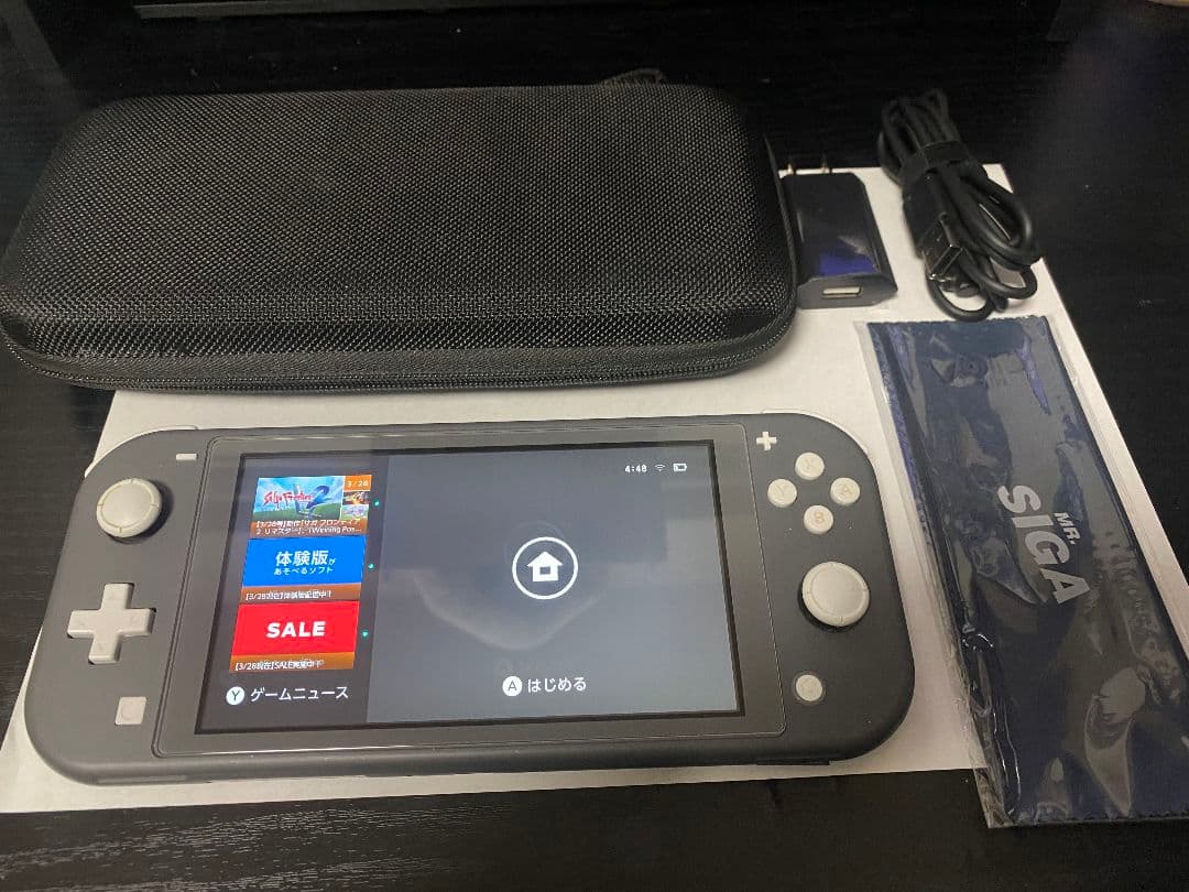 Nintendo Switch Lite グレー 本体とケース、その他付属品