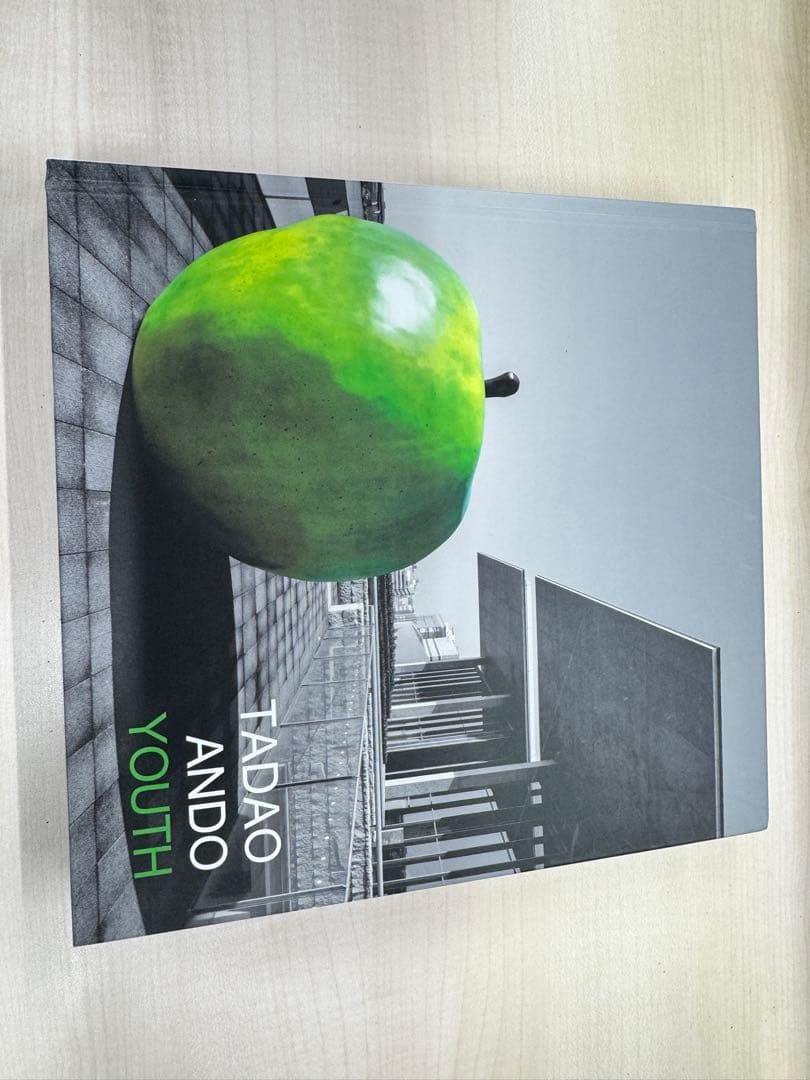 TADAO ANDO YOUTH 安藤忠雄