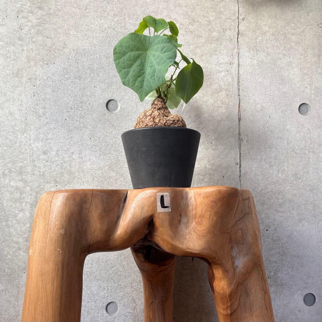 スツール L⭐︎送料込み⭐︎