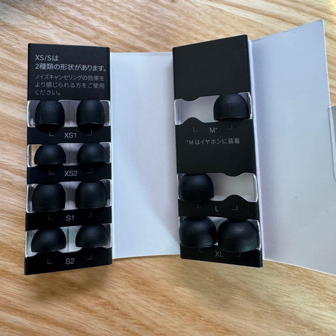 【美品】Technics EAH-AZ80 ブラック