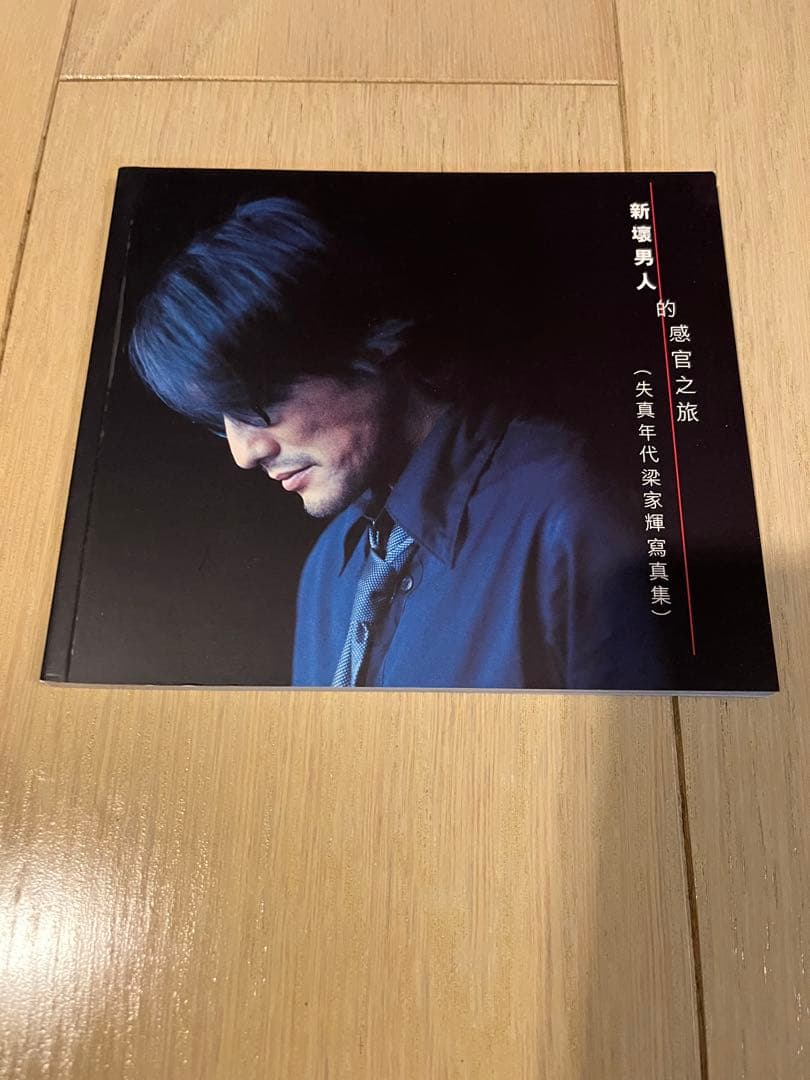 希少　梁家輝 Tony Leung 诱惑一辈子CD