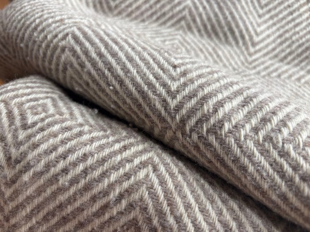 ECOLA エコラ スロー Mサイズ Losa