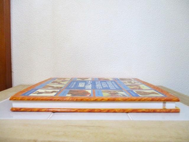 テディベア制作の技法事典　アリシア・メレット