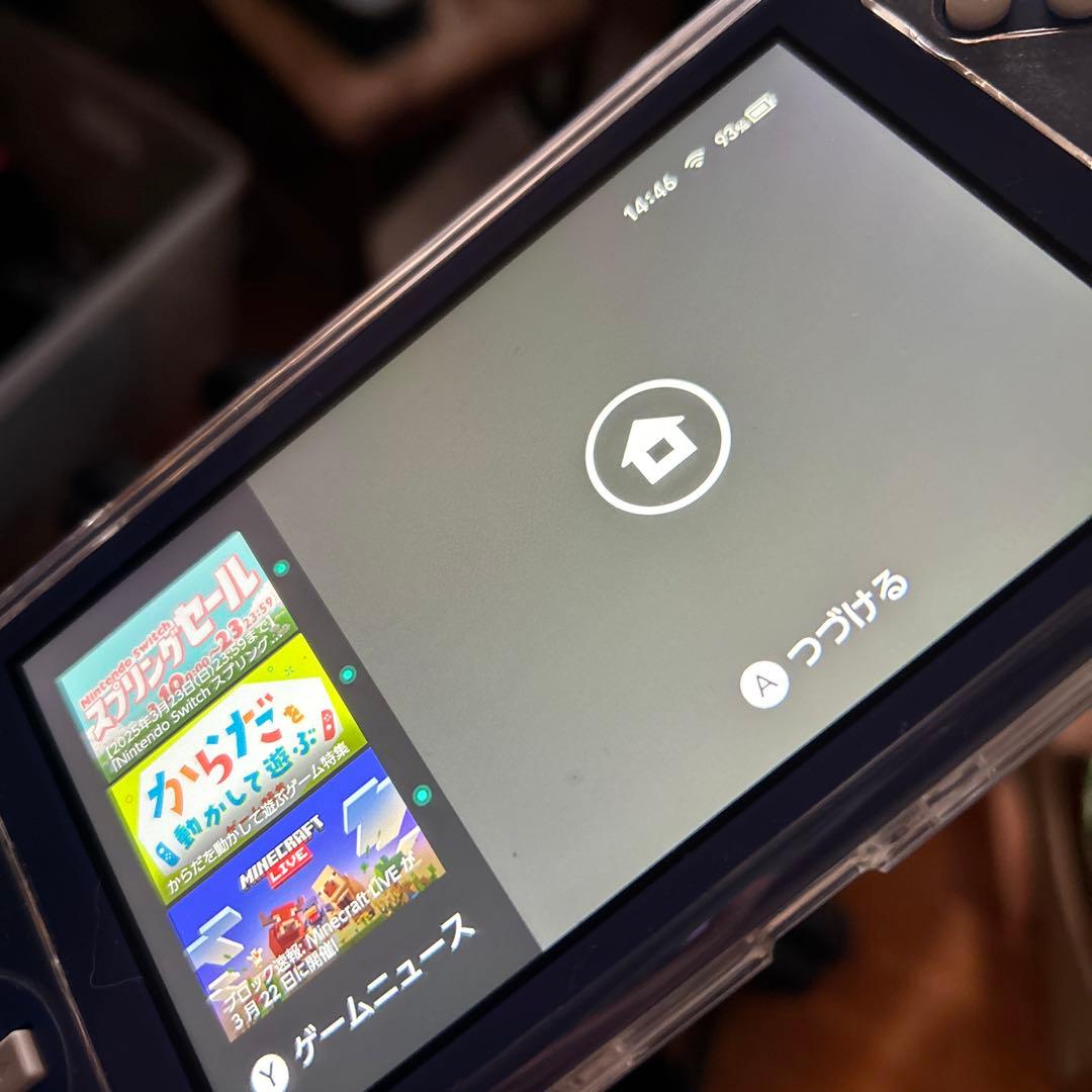 専用です。Nintendo Switch Lite 青色 本体と充電器とケース