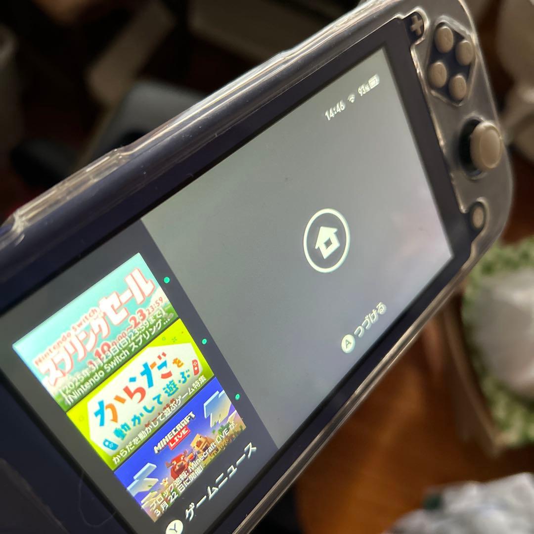 専用です。Nintendo Switch Lite 青色 本体と充電器とケース