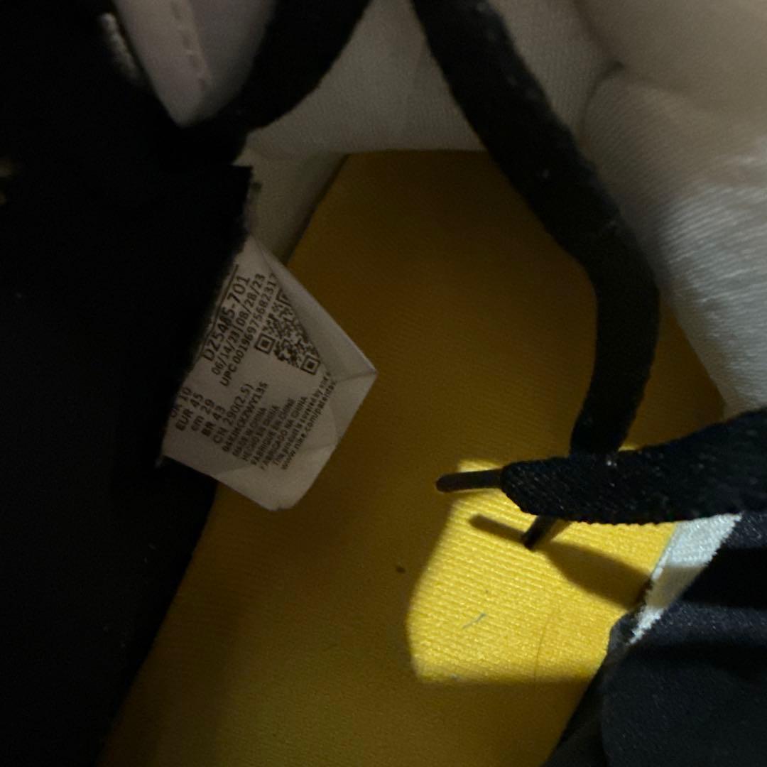 エアジョーダン 1 29cm