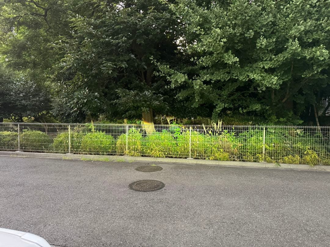 ハイラックス　ヘッドライト　レベライザー　国内発送