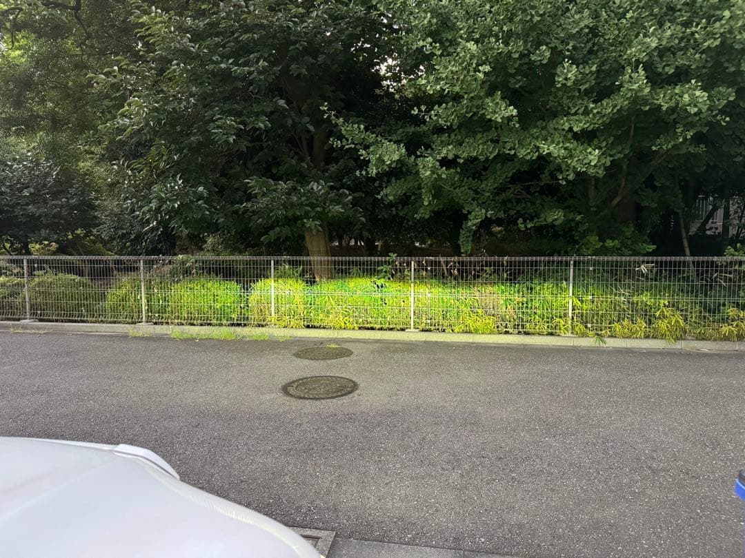 ハイラックス　ヘッドライト　レベライザー　国内発送