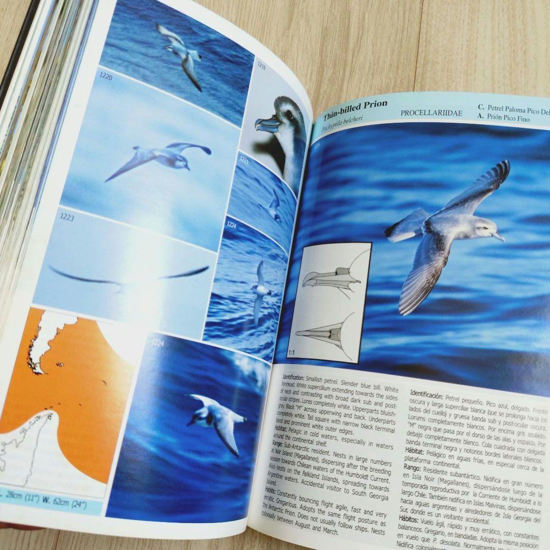 パタゴニア ティエラ・デル・フエゴ 南極半島の鳥　鳥類の写真ガイドブック