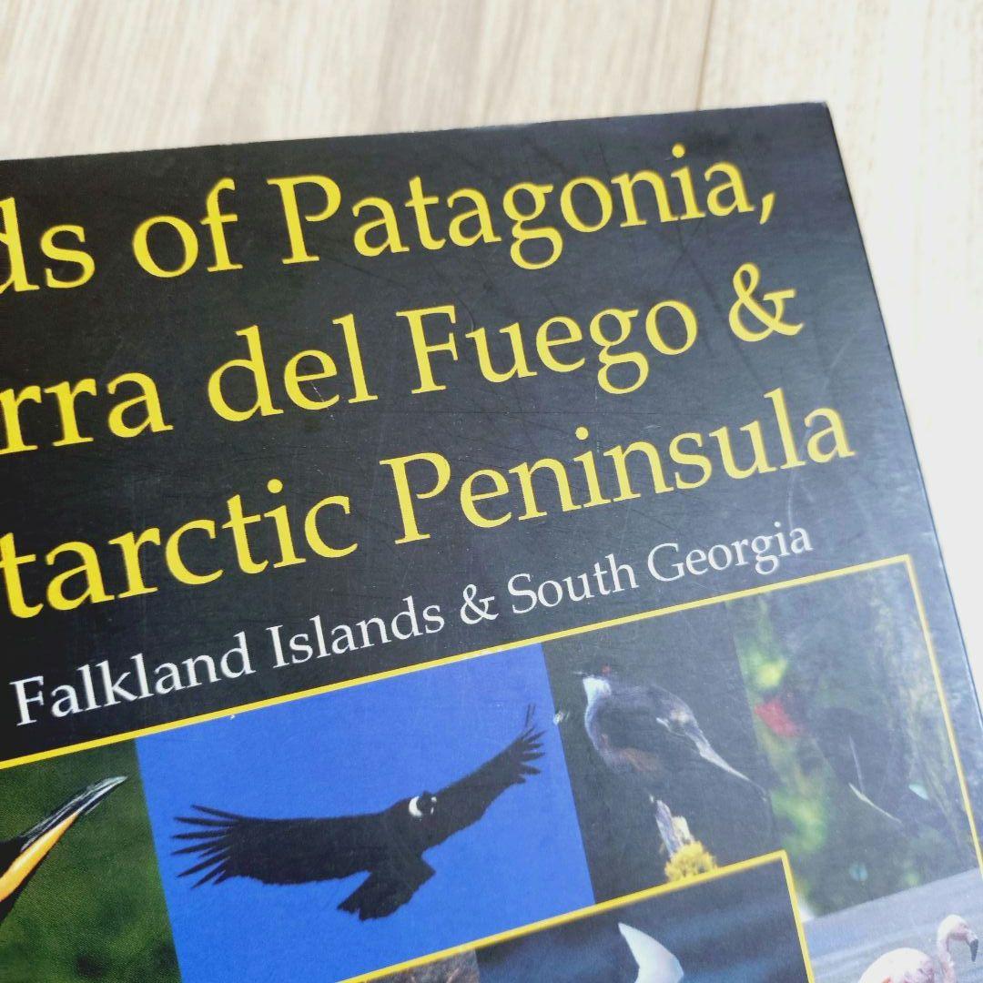 パタゴニア ティエラ・デル・フエゴ 南極半島の鳥　鳥類の写真ガイドブック
