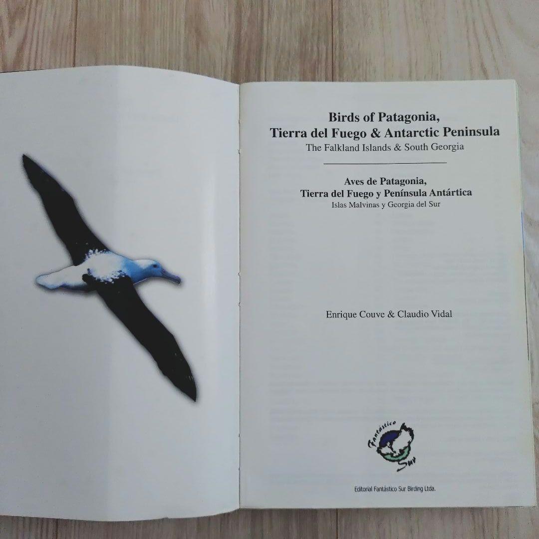 パタゴニア ティエラ・デル・フエゴ 南極半島の鳥　鳥類の写真ガイドブック
