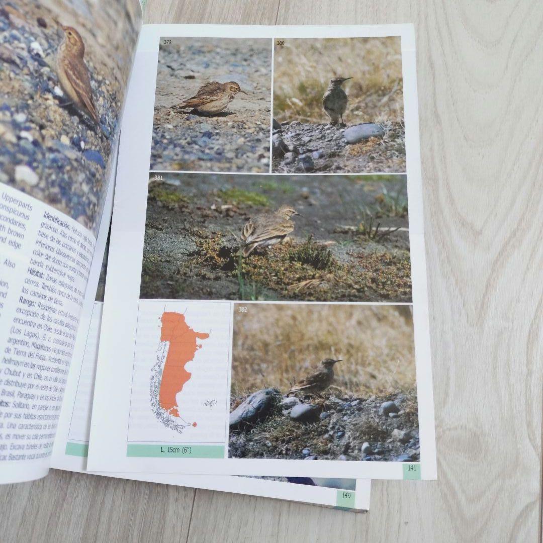 パタゴニア ティエラ・デル・フエゴ 南極半島の鳥　鳥類の写真ガイドブック