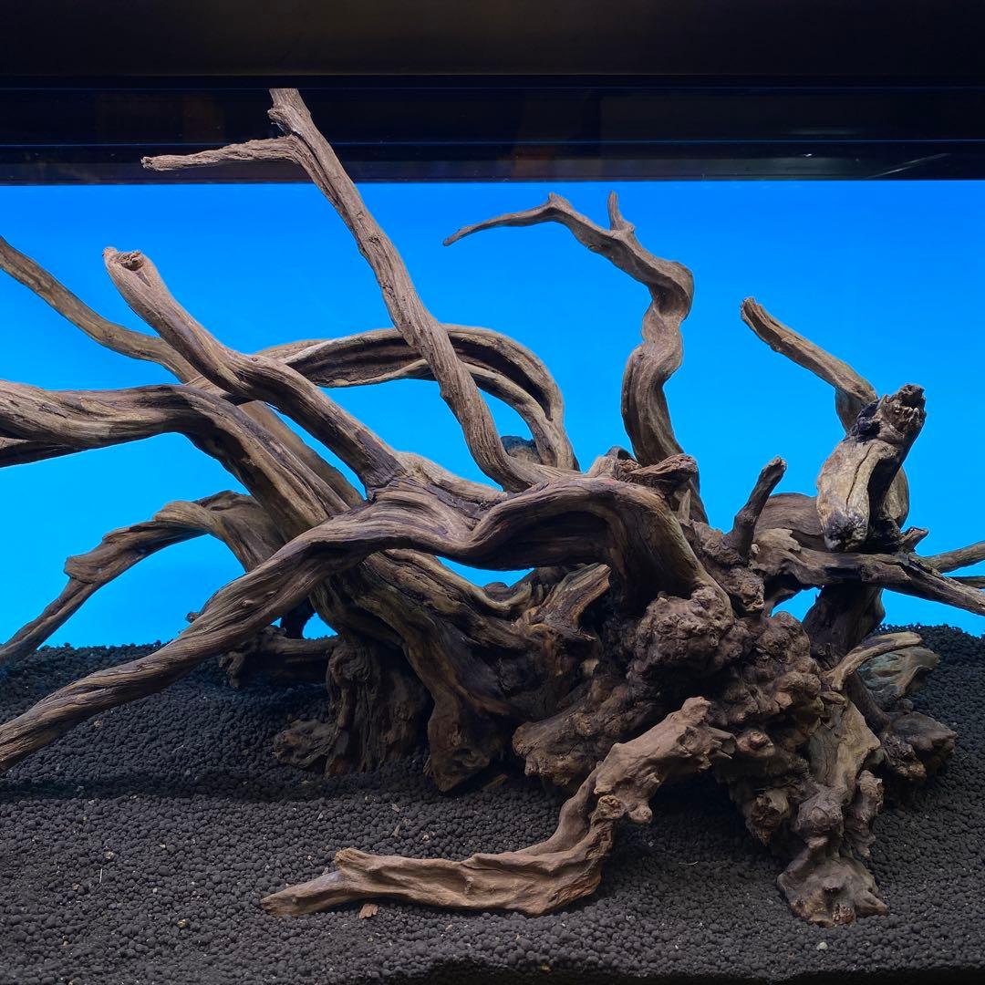 MSRW-6735 天然流木レイアウトセット　スリムウッド　アクアリウム