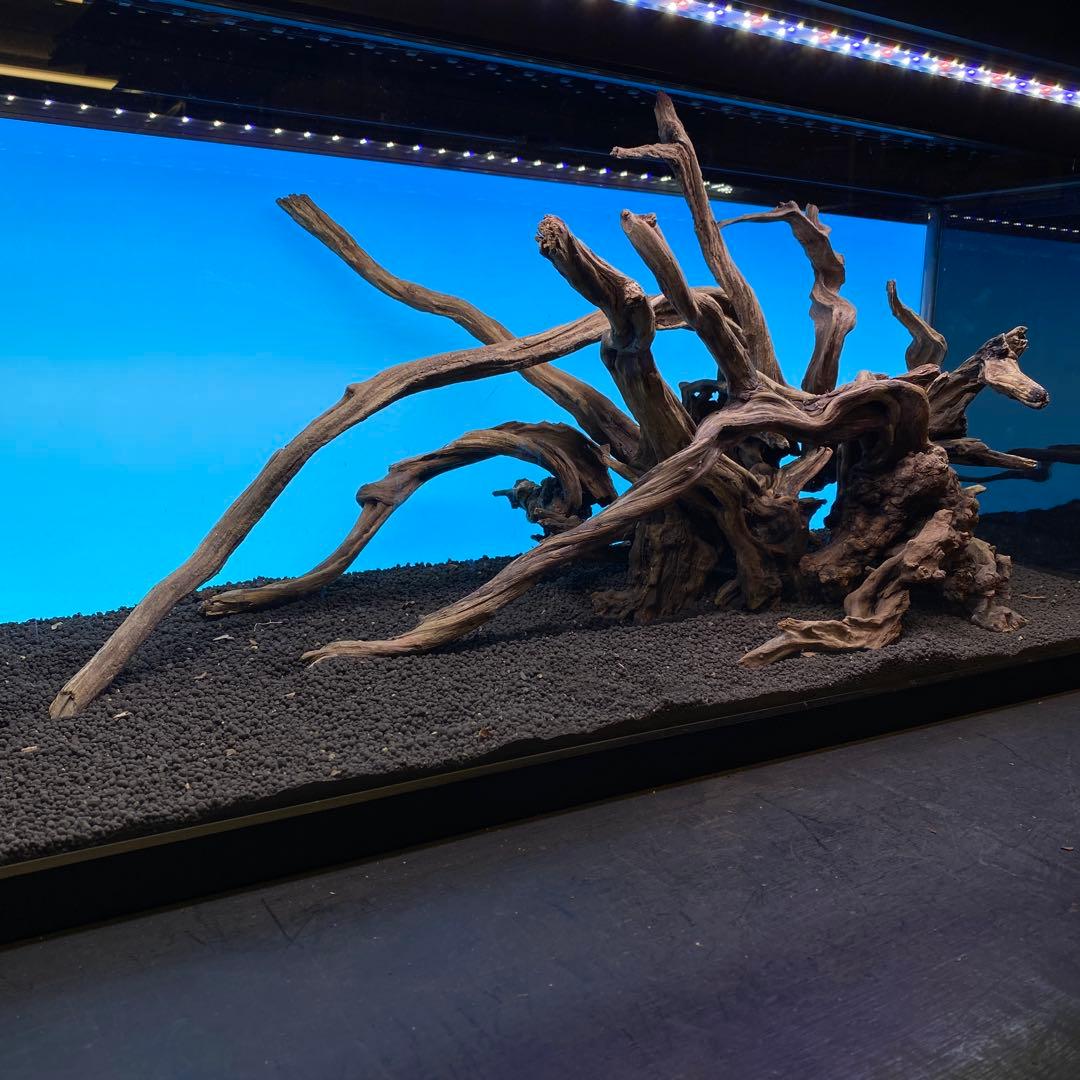 MSRW-6735 天然流木レイアウトセット　スリムウッド　アクアリウム