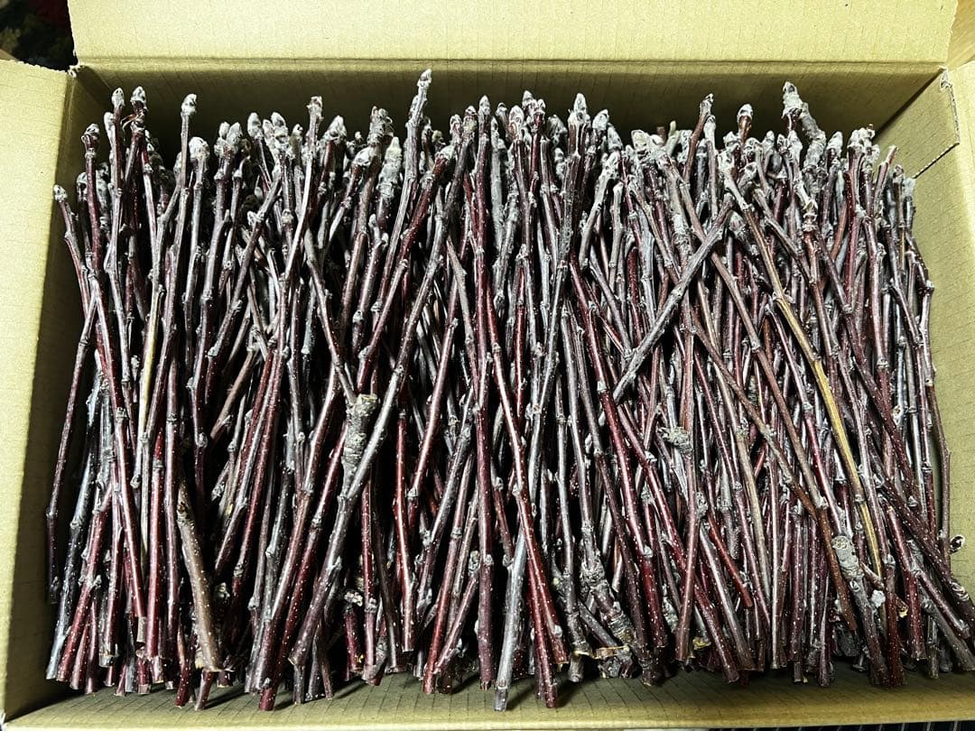 まるちい様①②