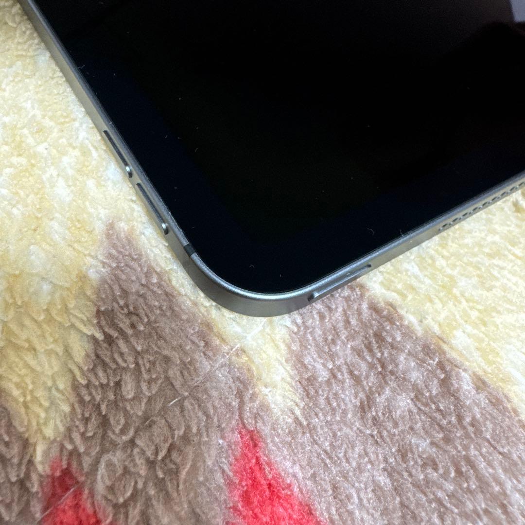 【液晶表示不良あり】iPad Pro 12.9㌅ 第5世代 256GB セルラー