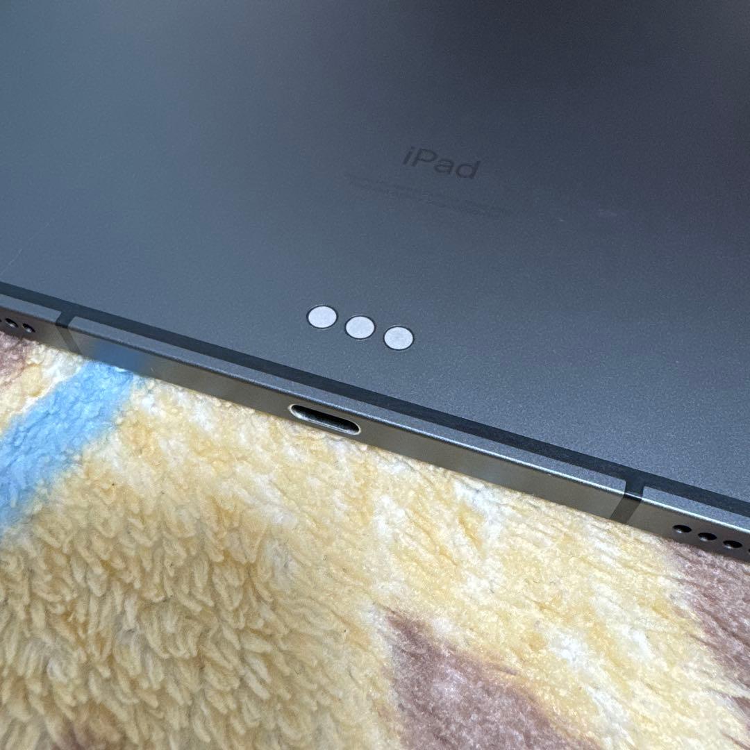 【液晶表示不良あり】iPad Pro 12.9㌅ 第5世代 256GB セルラー