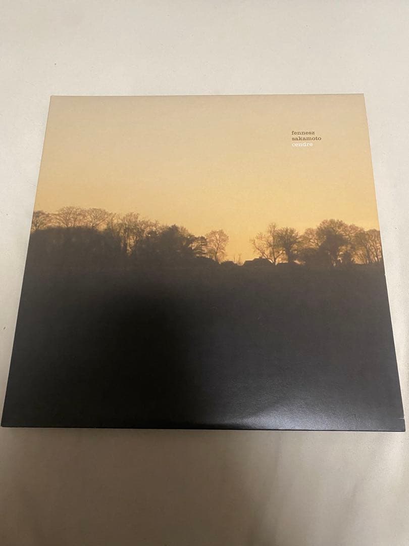 邦楽 fennesz&ryuichi sakamoto cendre 10inchx2