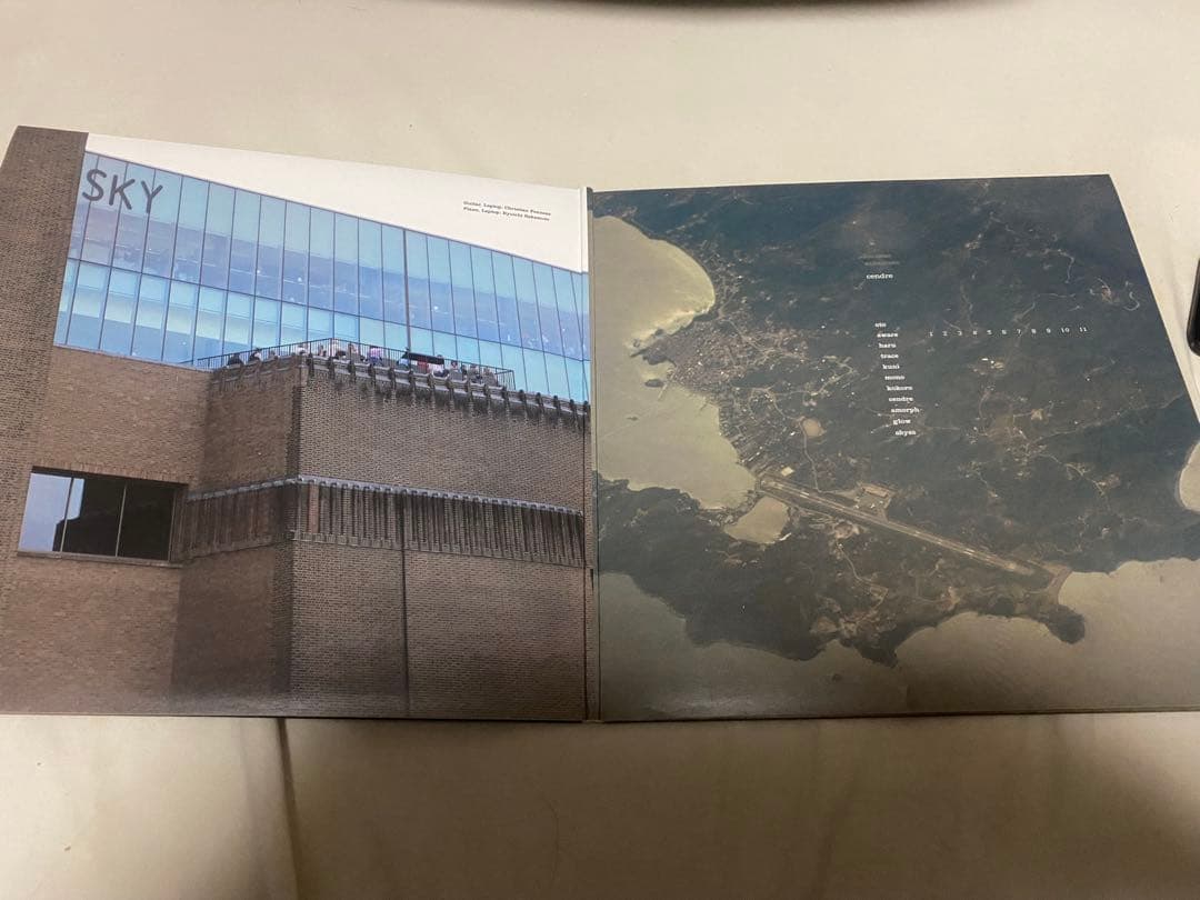 邦楽 fennesz&ryuichi sakamoto cendre 10inchx2