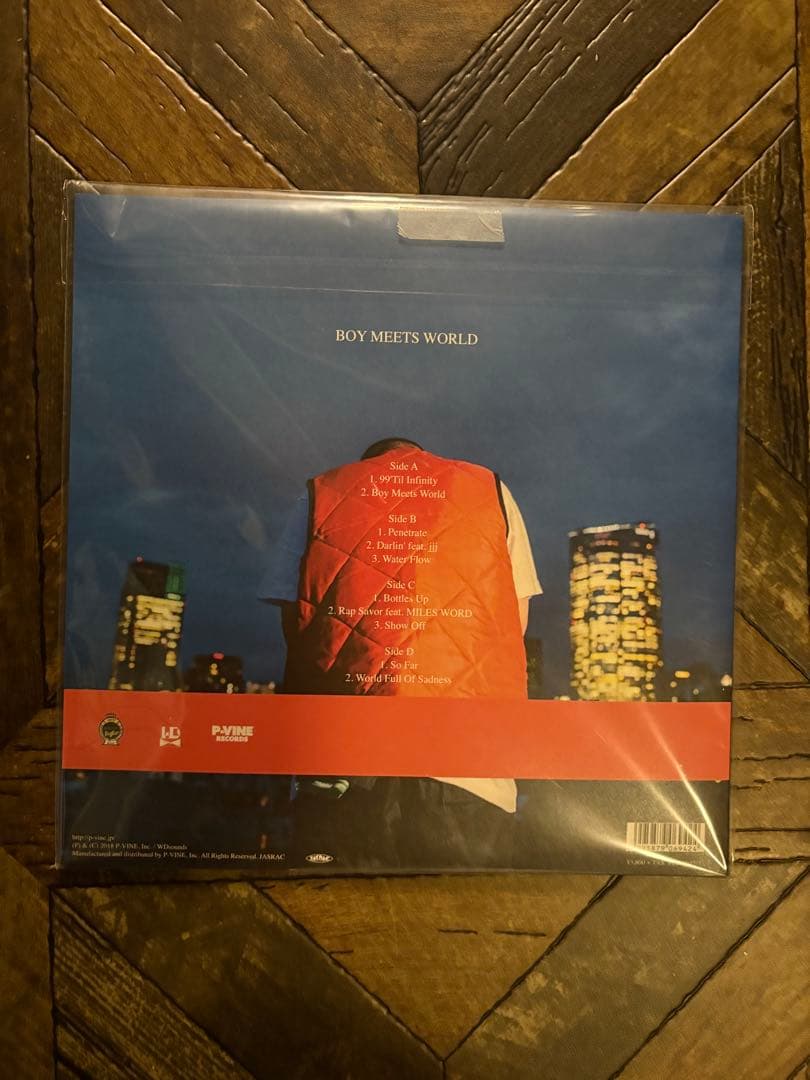 仙人掌　BOY MEETS WORLD レコード　LP