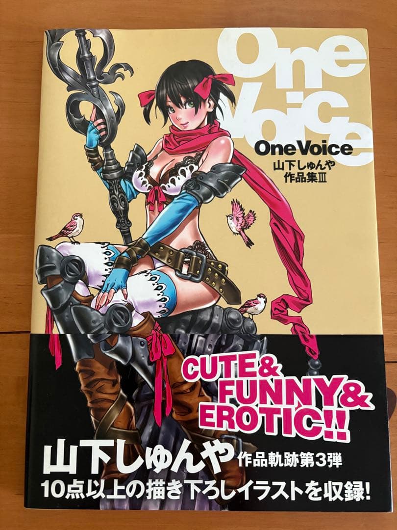 山下しゅんや　画集＆作品集　2冊セット　初版/帯付き　フィールドワイ　コトブキヤ