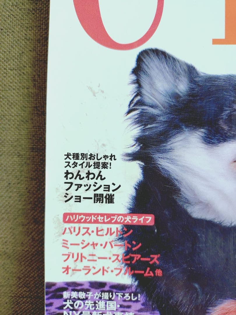 CREA 2007年2月号 犬特集 綾野剛 城田優