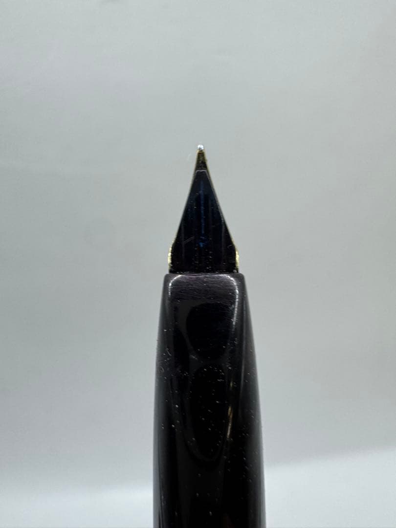 希少 PLATINUM プラチナ 万年筆 22金 22K 黒 細字