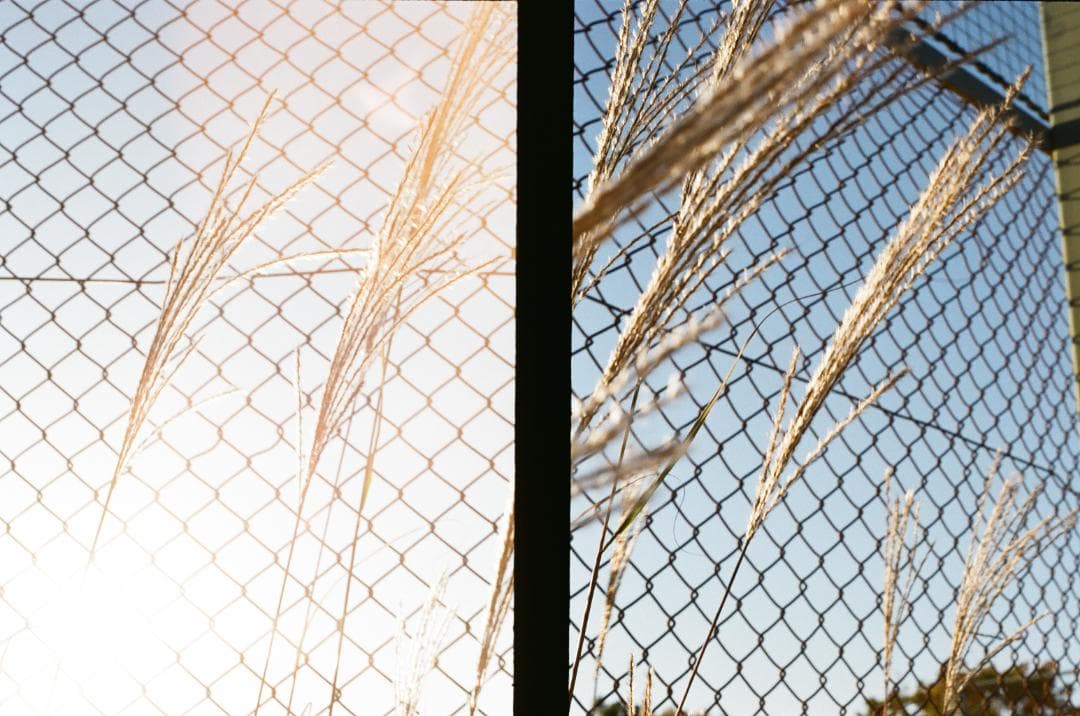 OLYMPUS PEN F【整備済動作品】