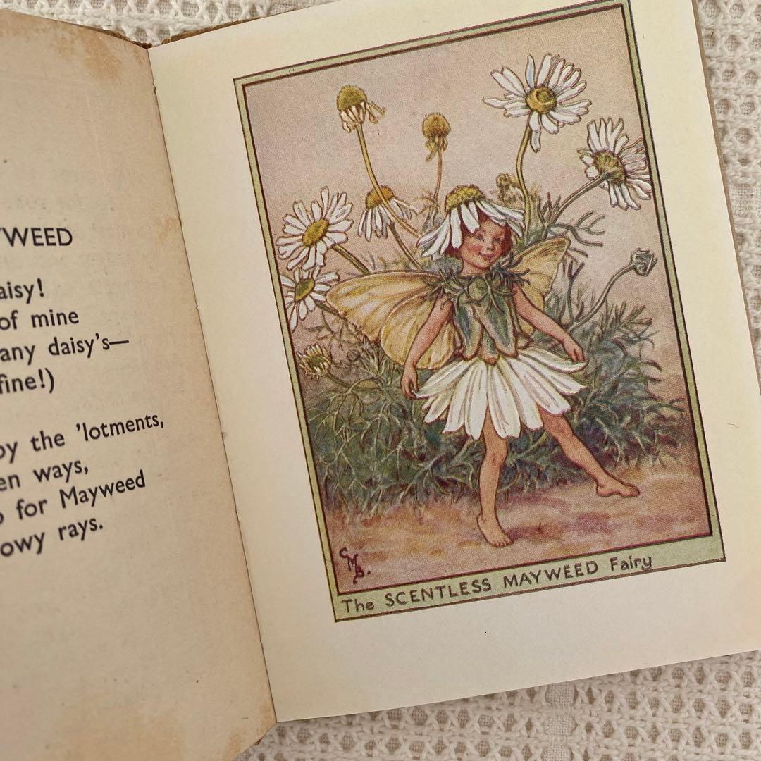 【希少】初版Flower Fairies 道端の花の妖精 洋書 古書