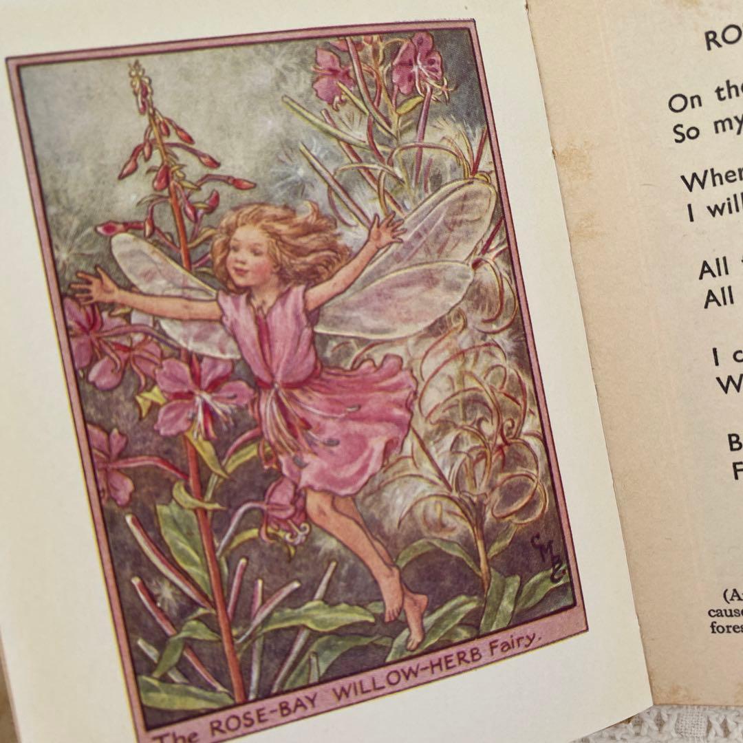 【希少】初版Flower Fairies 道端の花の妖精 洋書 古書