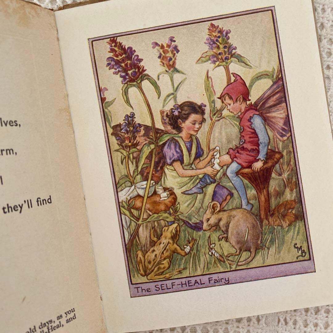 【希少】初版Flower Fairies 道端の花の妖精 洋書 古書