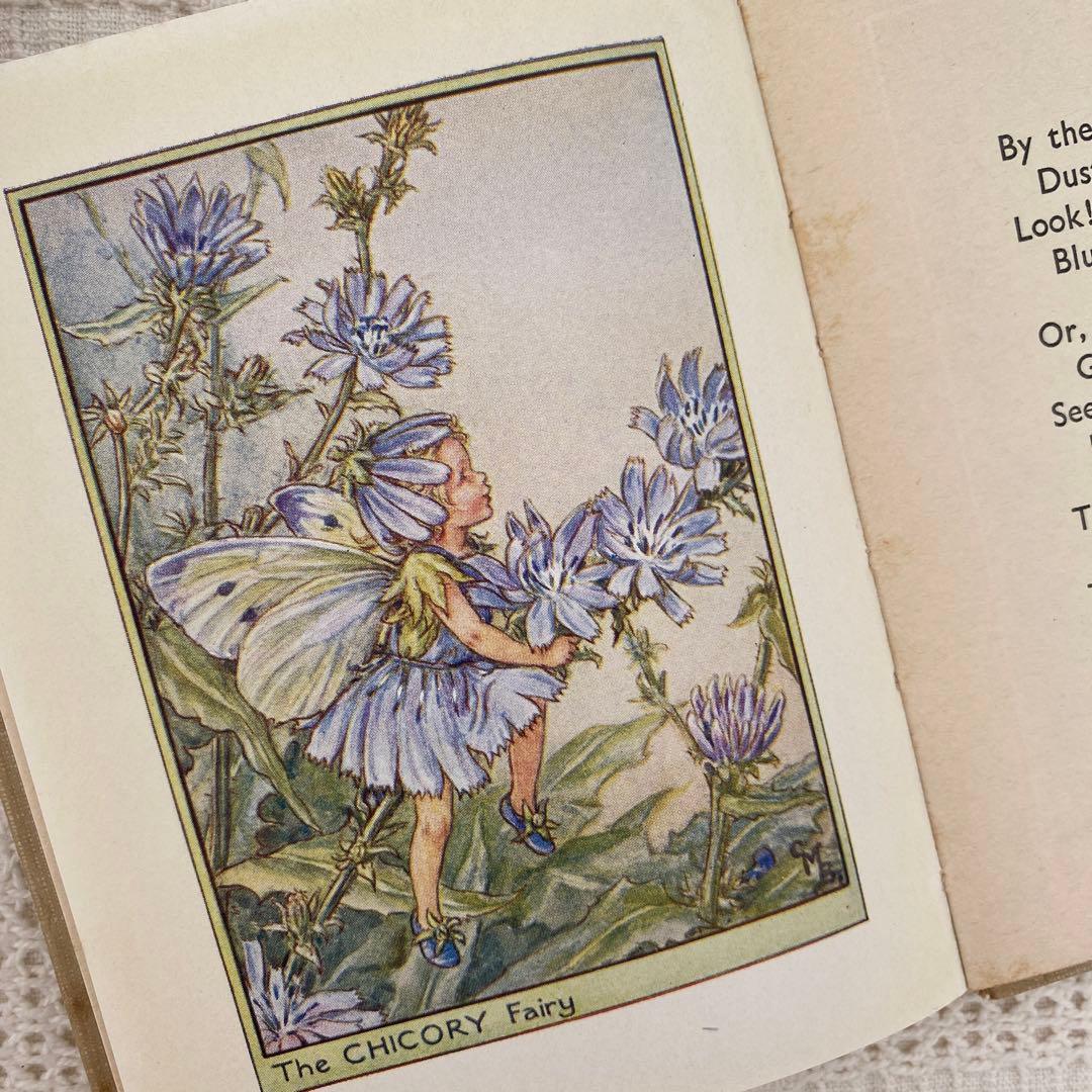 【希少】初版Flower Fairies 道端の花の妖精 洋書 古書