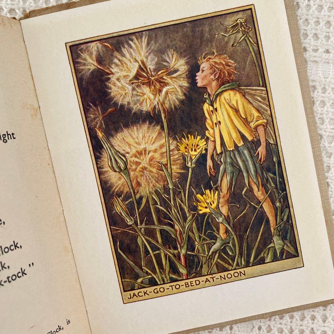 【希少】初版Flower Fairies 道端の花の妖精 洋書 古書