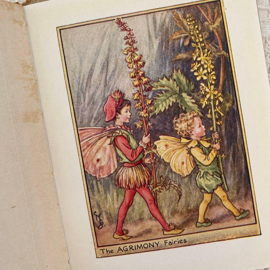 【希少】初版Flower Fairies 道端の花の妖精 洋書 古書