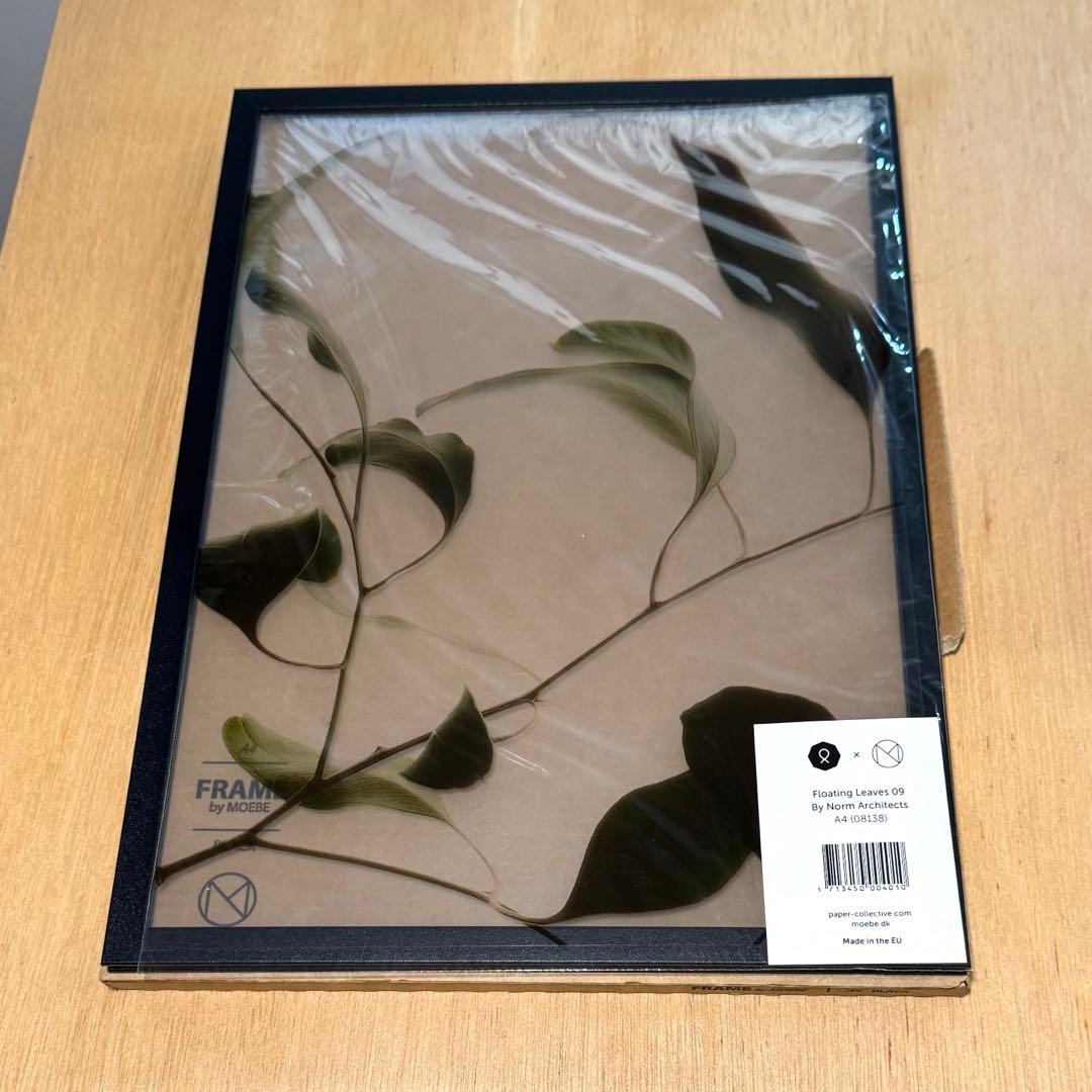 【Paper Collective】 クリアポスターA4＋【MOEBE】フレーム
