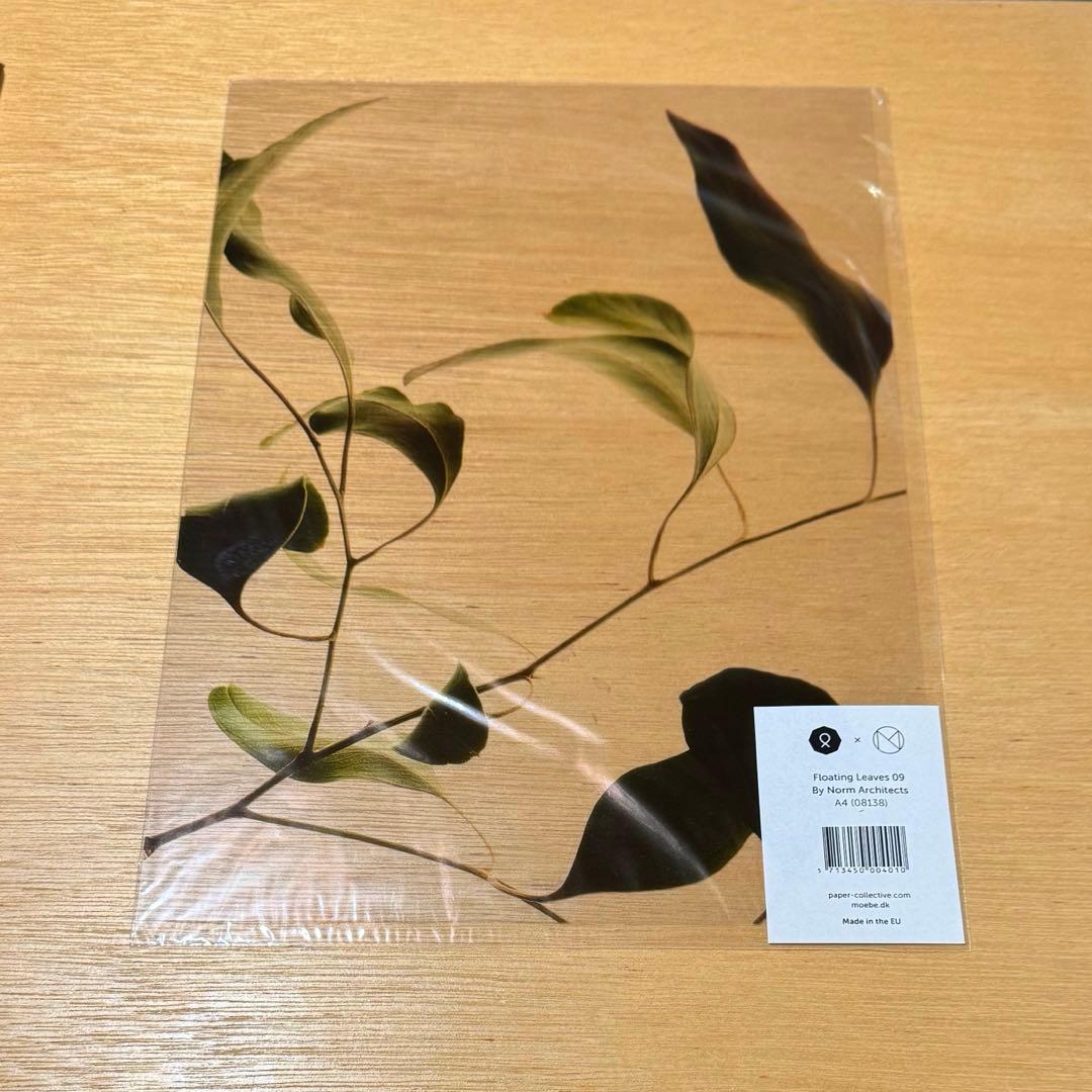 【Paper Collective】 クリアポスターA4＋【MOEBE】フレーム