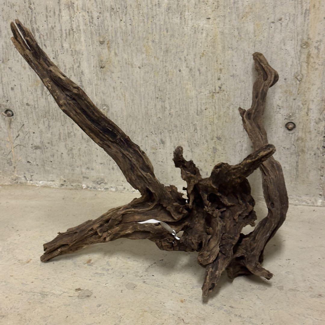 ADA スリムウッド　流木　特大