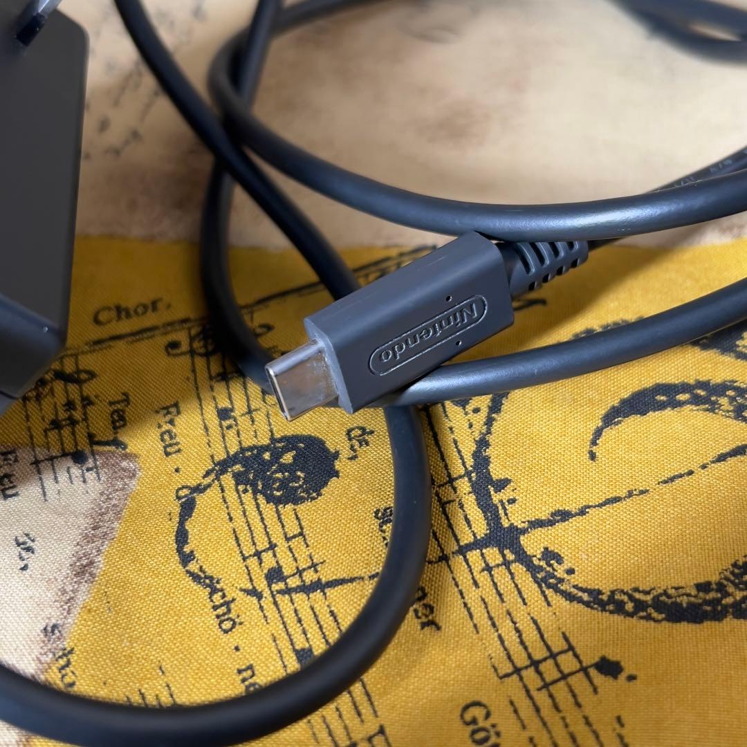 【中古】Switch lite ディアルガ・パルキア モデル