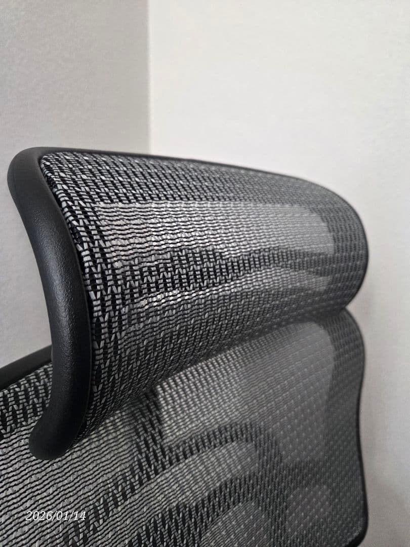 Ergohumanエルゴヒューマンプロハイタイプ/エラストメリックメッシュ GR